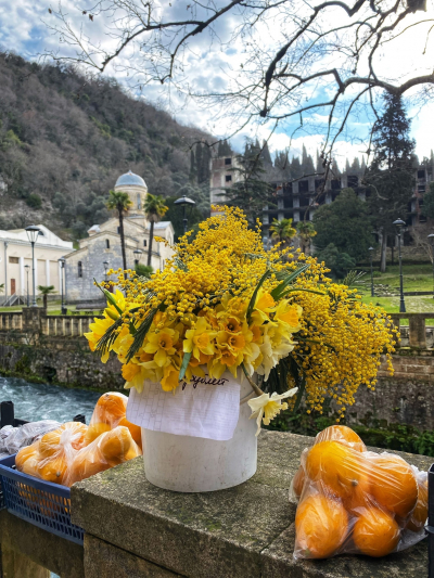 Праздник цветения мимозы в Абхазии!